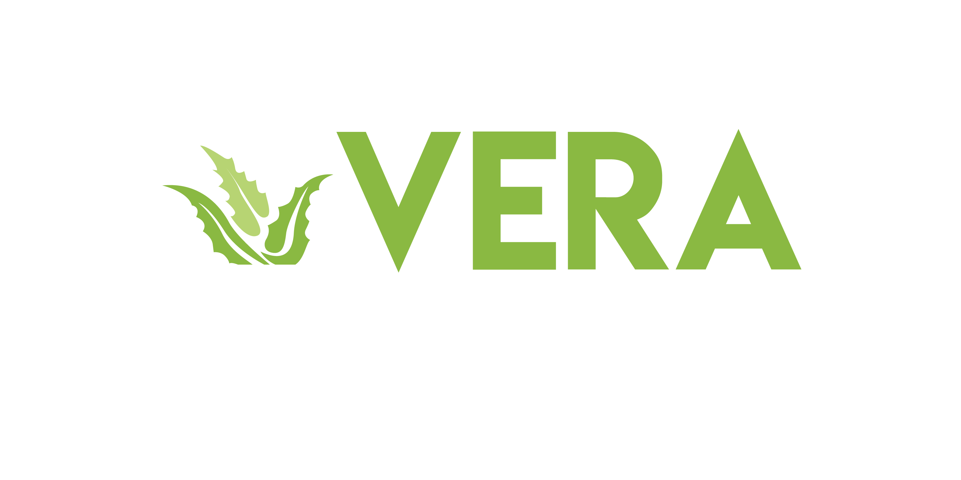 Vera Home Loans